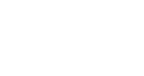 Spiess Krane